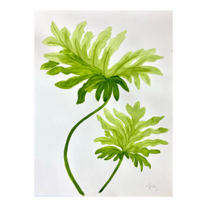 Philodendron Leaf Painted in Watercolor on Heavy Paper