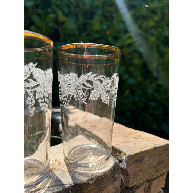 1950s Set of Six Mid Century Modern Bartlett Collins Highball Glasses- Beautifully Designed Grapevines Around Upper Half of Glasses With 24k Gold Trim For Sale - Image 9 of 11