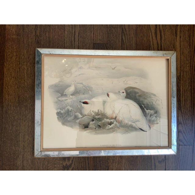 Hollywood Regency Hand Colored Bird Prints in Vintage Mercury Frames- Set of 3 For Sale - Image 3 of 13