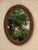 Contemporary One of a Kind Acorn Oval Wall Mirror by Joseph Malekan For Sale - Image 3 of 12