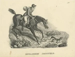 Karl Joseph Brodtmann, English Hunting Horse, 1820s, Litograph on Paper