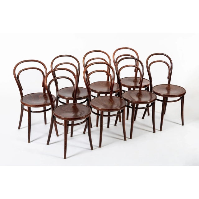 Mid-Century Modern Vintage Bent Wood Cafe Bistro Chairs by Drevounia, Set of 8 For Sale - Image 3 of 12