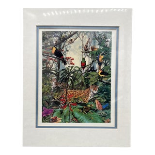 1990's "Our Rainforests" Lithograph Print by Paul Kratter Matted For Sale
