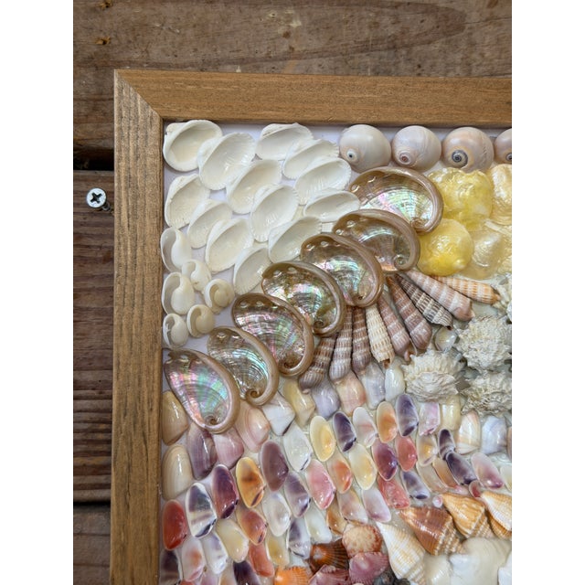 Beautiful custom seashell wall art featuring a richly layered composition of natural shells arranged in a structured,...