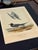 Mid 18th Century 19th Century Audubon Black Tern Royal Octavo Hand-Colored Lithograph, Framed For Sale - Image 5 of 7