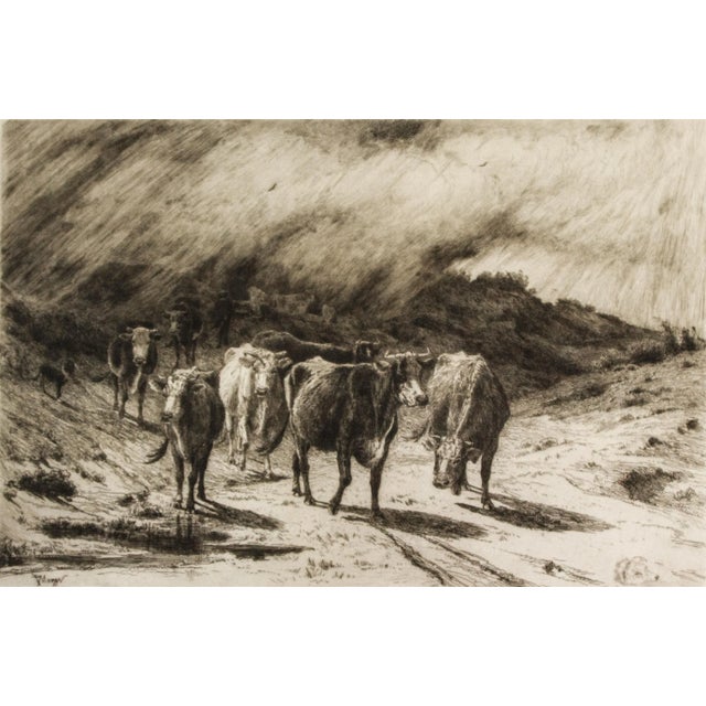 This Peter Moran (American 1841-1914) etching on parchment paper is excellent condition with no foxing - rips or holes....