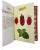 Le Sirenuse Hotel Pomodoro Hardcover Book Little Books Series For Sale - Image 4 of 12