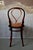 Oméga N°20 Chair by Michael Thonet for Thonet, 1890s For Sale - Image 14 of 18