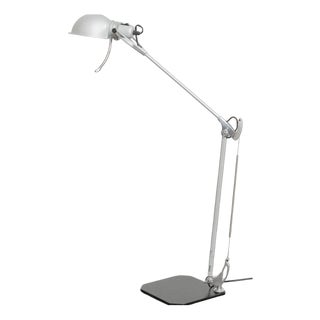 Mandraki Table Lamp by Riccardo Blumer for Artemide, 1960s For Sale