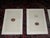 Antique 19th Century Hand Colored Birds of Prey Egg Lithographs - Set of 9 For Sale - Image 4 of 11