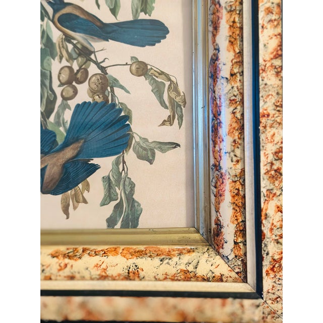 Vintage Bird Print, Framed For Sale In Charleston - Image 6 of 8