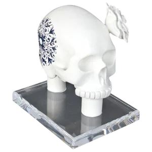 White Resin Skull
