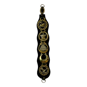 English Martingale Dereham Leather Horse Strap With 5 Horse Brasses