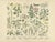 M. Fünfstück, German Wildflower Botanical Plates, 1890s, Chromolithographs, Set of 4 For Sale - Image 4 of 9