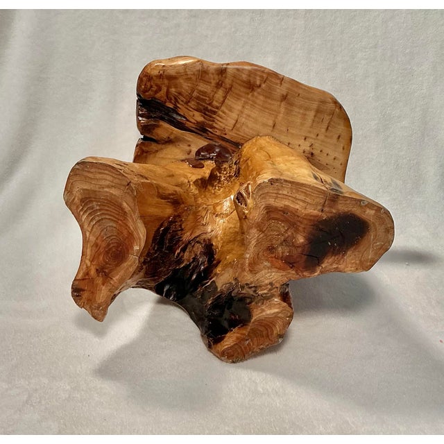 Brown Birdseye Maple Natural Tree Stump Side Accent Table For Sale - Image 8 of 12