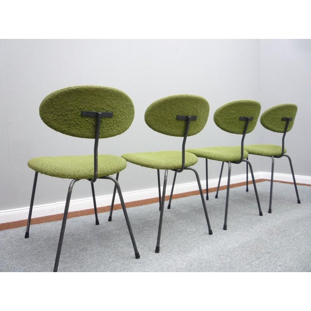 Dining Chairs by Hans Bellmann for Domus Schwaikheim, 1950s For Sale - Image 6 of 18