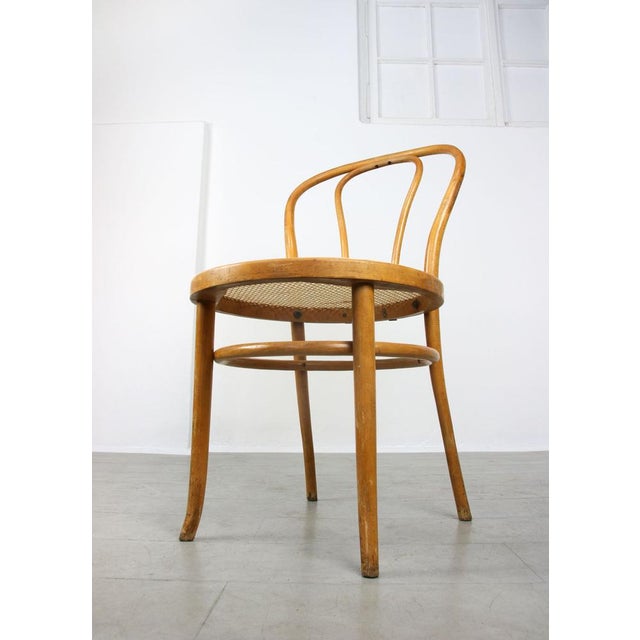 Set of No. 18 Wide Chairs by Michael Thonet For Sale - Image 14 of 18