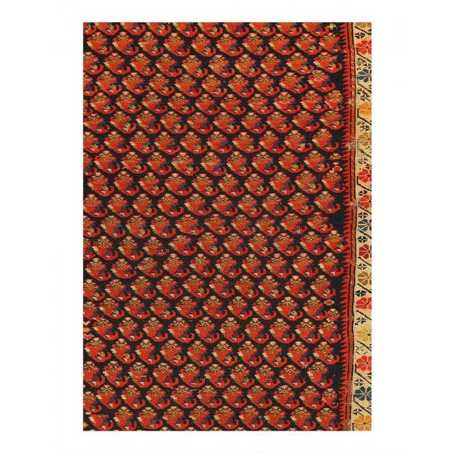 Traditional Pasargad DC Navy Blue Persian Antique Shirvan For Sale - Image 3 of 3