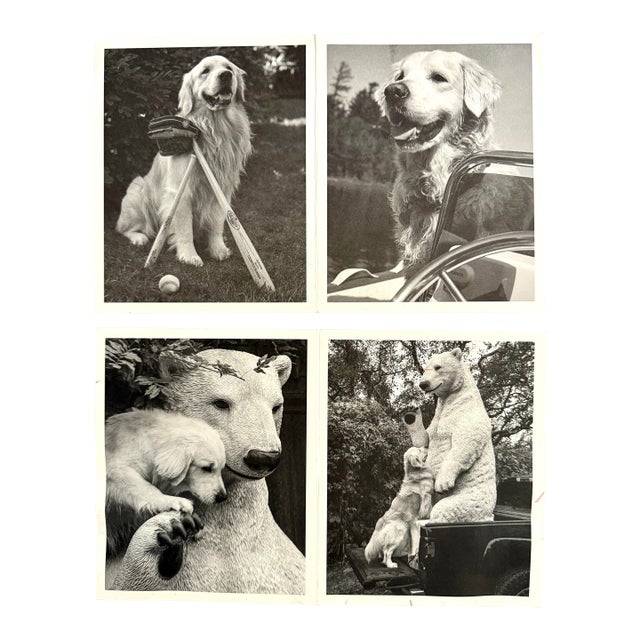 Set of 2 Signed Bruce Weber Holiday Cards, Personally Signed to Recipient For Sale