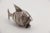 Metal 1900s Antique Silver Fish Salt Shaker For Sale - Image 7 of 12