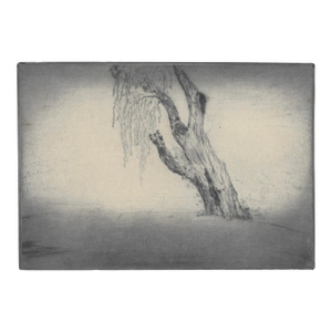 1910s Allen Lewis Willow in the Mist Drypoint