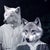 This artwork presents a surreal tableau where human figures are seamlessly merged with wolf faces, creating an intriguing...
