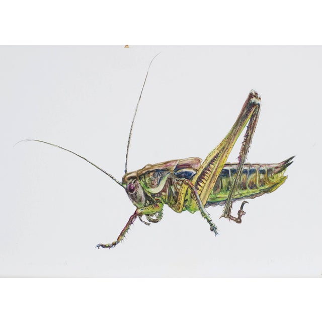 Juris Utans, Grasshopper at Rest VI 2021, Mixed Media and Paper For Sale