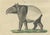 Early 19th Century Bertuch, Malayan Tapir & Collared Peccary, 1815, Engraving For Sale - Image 5 of 9