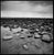 Not Yet Made - Made To Order Paul Cooklin, Rocks, Lynmouth, North Devon, Edition of 50 For Sale - Image 5 of 5
