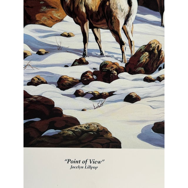 1992 Jocelyn Lillpop Russell POINT OF VIEW Signed Numbered Wildlife Print This product is a limited edition print titled...