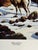 1992 Jocelyn Lillpop Russell POINT OF VIEW Signed Numbered Wildlife Print This product is a limited edition print titled...