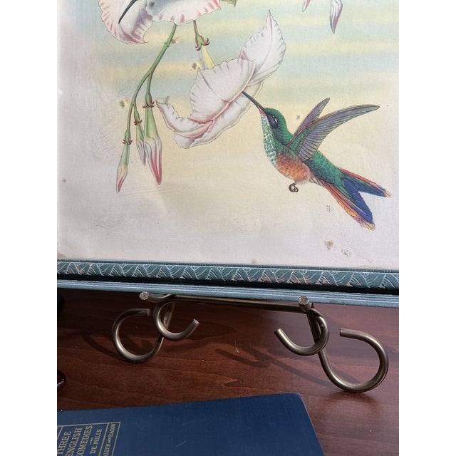 Framed Vintage Ibf Co. Hummingbird Lithograph, Hollywood Picture Frame Co., Mid-Century Botanical Fine Art For Sale - Image 11 of 11