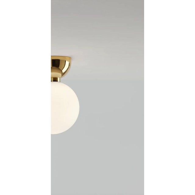 Aballs A II Me Golden Wall Lamp by Jaime Hayson for Parachilna For Sale - Image 6 of 11