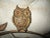 Vintage Owls on a Branch With Leaves Metal Message Board With Shelf For Sale In Columbia, SC - Image 6 of 6