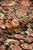 Antique Persian Senneh Flatweave Rug With Herati Design, 4'3" × 6'4" For Sale - Image 4 of 4