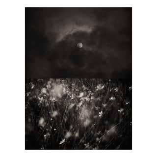 Jaume Llorens Bach, Gaia Diptych #116, Monochrome Photographic Print For Sale