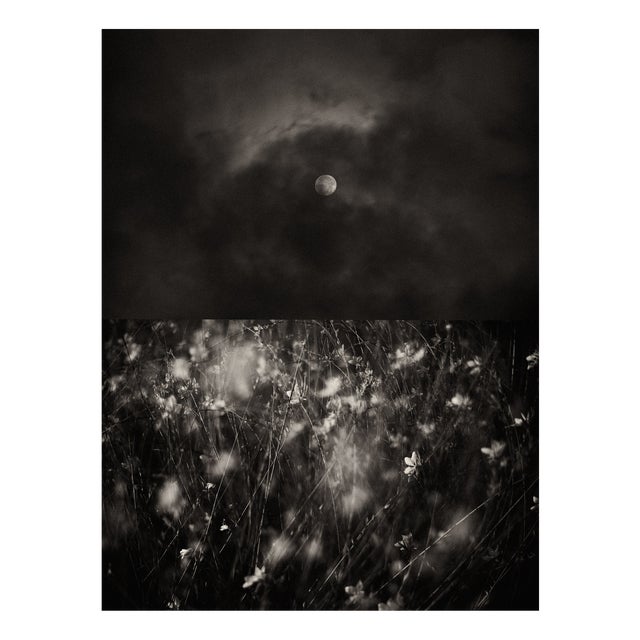 Jaume Llorens Bach, Gaia Diptych #116, Monochrome Photographic Print For Sale