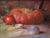 Still Life Pumpkin by Ali Ghassan | Oil Painting of a pumpkin and various fruits and vegetables For Sale