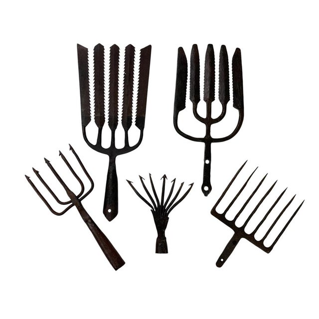 Metal Antique Eel Fishing Spears in Wrought Iron, 1890s, Set of 5 For Sale - Image 7 of 7
