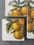 Mosaic of Tiles with Fruit Motif from Cerámica Sevilla, 1950s, Set of 4 For Sale - Image 6 of 7
