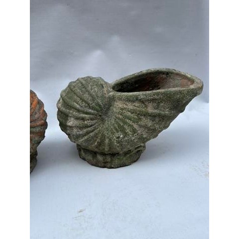 Terracotta Shell Planters a Pair For Sale - Image 9 of 11