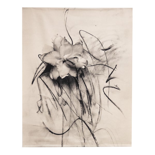 Lily in Charcoal - Limited Edition Photograph on Raw Cotton Canvas (3/5) 2023 For Sale