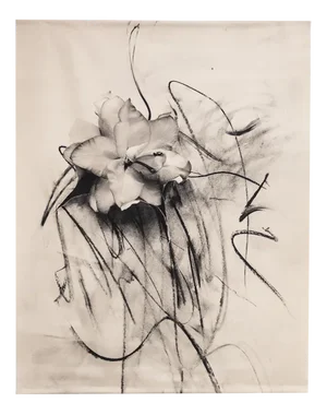 Lily in Charcoal - Limited Edition Photograph on Raw Cotton Canvas (3/5) 2023