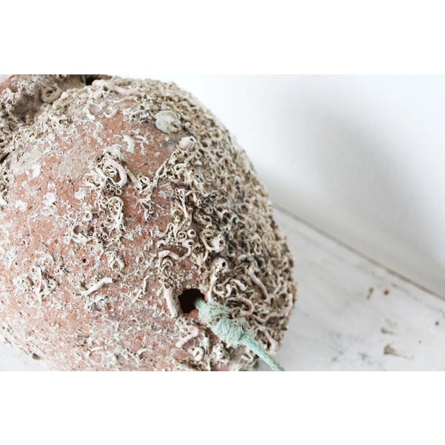 19th Century Terracotta Octopus Trap Vase For Sale - Image 10 of 12