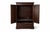 Wood Late 19th Century American Gentleman’s Dressing Cabinet in Original Deep Brown Finish – Circa 1890–1905 For Sale - Image 7 of 11