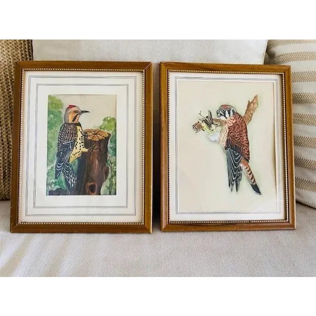 Mid 20th Century Original Bird Watercolors, Vintage, A Pair For Sale - Image 11 of 11