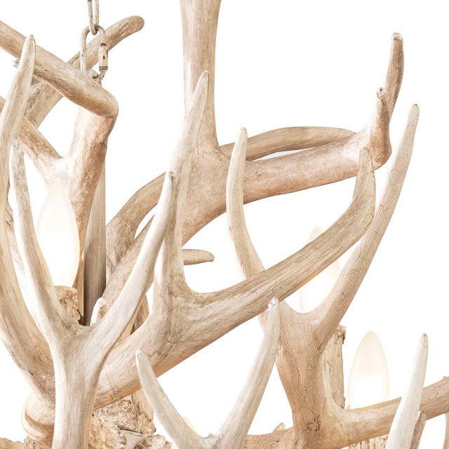 Waylon Antler Chandelier For Sale - Image 4 of 8