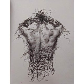 Male Figure Study by Chris Hopkins | Charcoal on paper of a male torso from behind For Sale