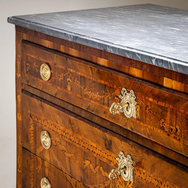 Neoclassical Chest of Drawers, 1800s For Sale - Image 11 of 12