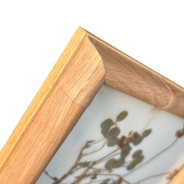 Framed Herbarium Collection of Botanical Specimens From 1897, Set of 12 For Sale - Image 4 of 18
